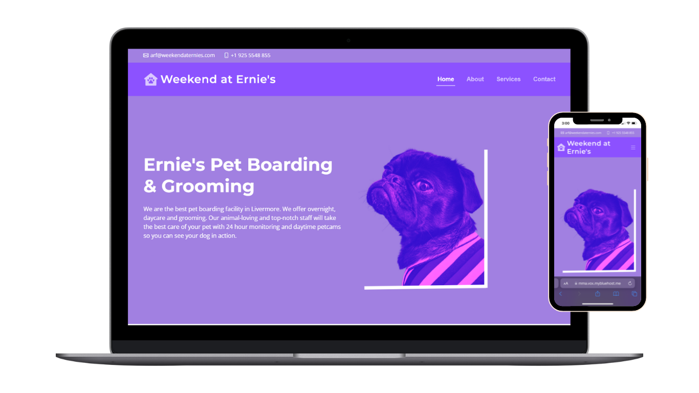 Ernie's Boarding & Grooming